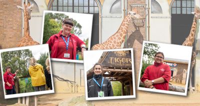 Zoo calls for volunteers in its hour of need